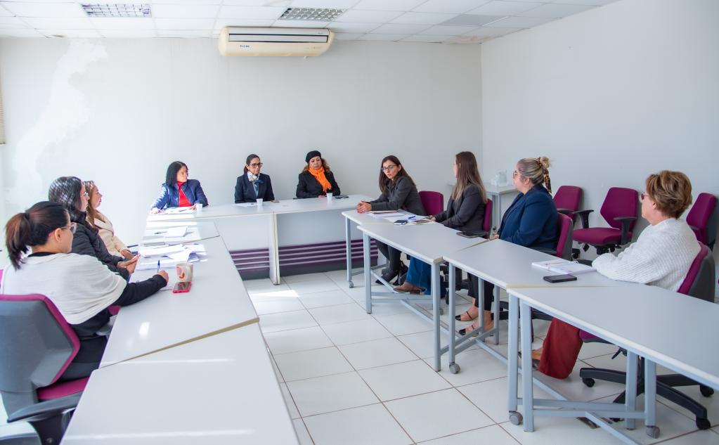 TCE-MS e CMB trabalham pela reinserção de mulheres vítimas de violência no mercado de trabalho 