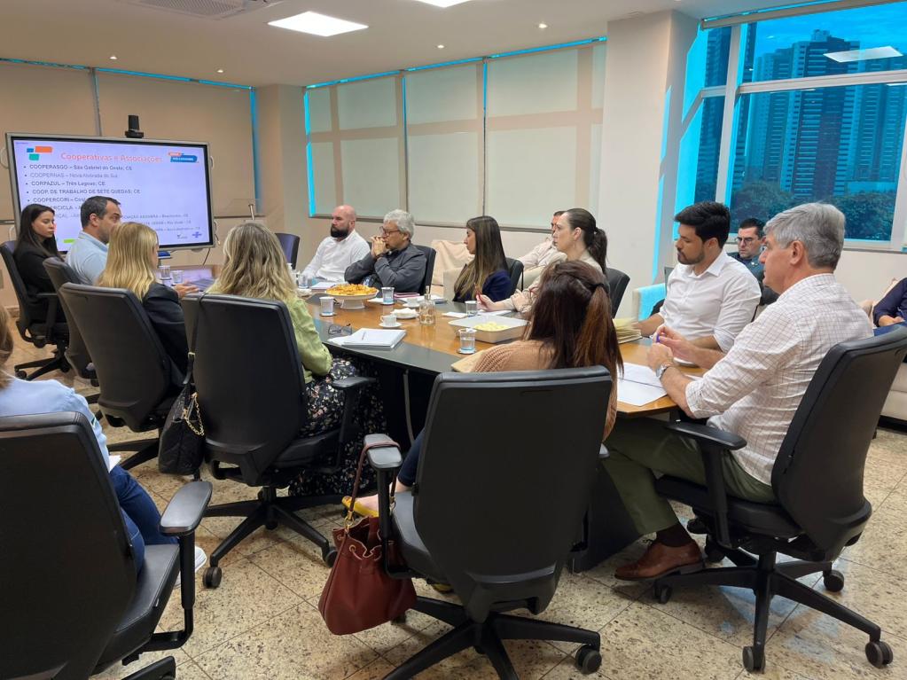 TCE-MS participa de reunião de Grupo de Trabalho que busca melhorar políticas públicas de gestão de resíduos sólidos
