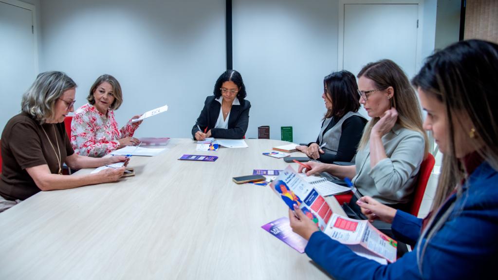 TCE-MS apresenta ações de proteção às mulheres em reunião com representantes do Ministério das Mulheres 